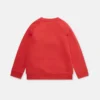 Fleece-Sweatshirt mit Eisbärenprint