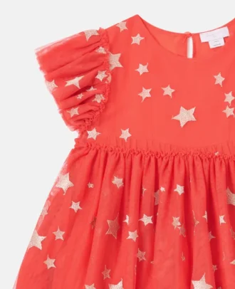 Tüllkleid mit Sternenstickerei